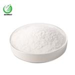 Dimethocaine Hydrochloride