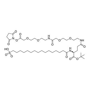 SO3H-Pla-Glu(AEEA-AEEA-OSu)-OtBu