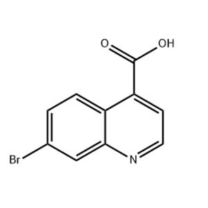 7-bromoquinoline-4-carboxylic acid