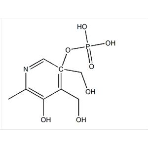 Pyridoxol 5-Phosphate 