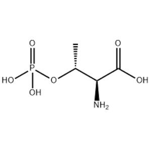 O-PHOSPHO-L-THREONINE