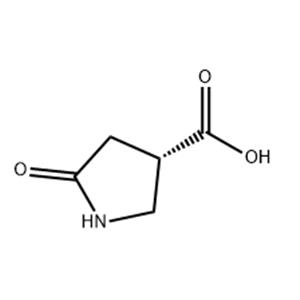 5-OXO-PYRROLIDINE-3-CARBOXYLIC ACID