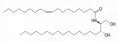 Ceramide NG