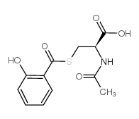 SALNACEDIN