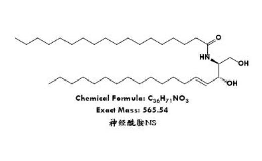 Ceramide NS