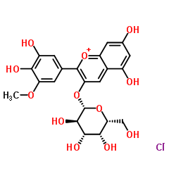 Petunidin-3-O-galactoside chloride