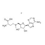 S-(5'-Adenosyl)-L-methionine iodide