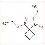 Diethyl 1,1-cyclobutanedicarboxylate