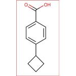 4-cyclobutyl-benzoic acid