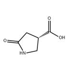 5-OXO-PYRROLIDINE-3-CARBOXYLIC ACID