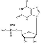 Xanthosine 5'-monophosphate sodium salt 