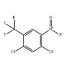 2,4-Dichloro-5-nitrobenzotrifluoride