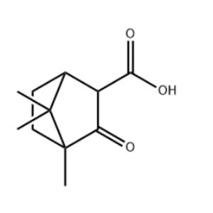 (+/-)-CAMPHORCARBOXYLIC ACID