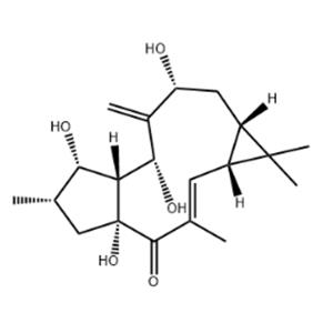 7-beta-Hydroxylathyrol