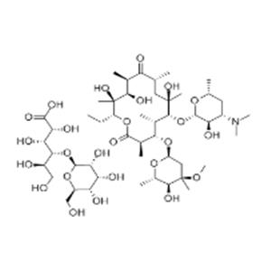 ERYTHROMYCIN LACTOBIONATE