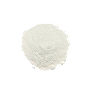 HYOSCYAMINE SULFATE