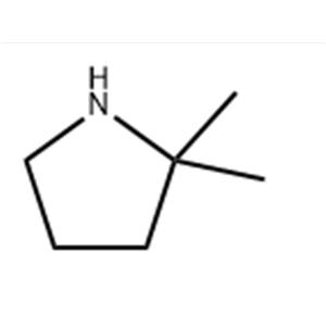 	2,2-Dimethylpyrrolidine