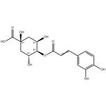 Cryptochlorogenic acid