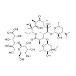 ERYTHROMYCIN LACTOBIONATE