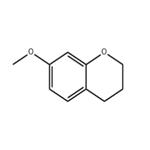 2H-1-BENZOPYRAN, 3,4-DIHYDRO-7-METHOXY-