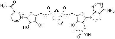 CAS # 1184-16-3, beta-Nicotinamide adenine dinucleotide phosphate sodium salt, beta-NADP sodium salt