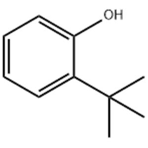 2-tert-Butylphenol