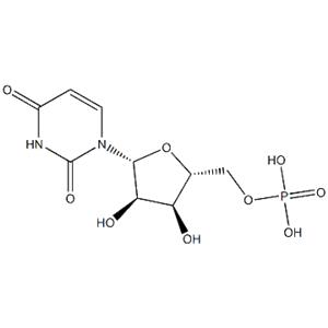 Polyuridylic acid potassium salt；Poly U-K,Poly U