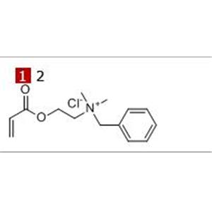 Acryloyloxyethyl ethyl dimethyl benzyl ammonium chloride 