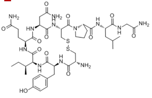 Oxytocin