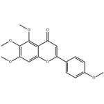 SCUTELLAREIN TETRAMETHYL ETHER