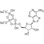 987-65-5 Adenosine 5'-triphosphate disodium salt,ATP-Na2; 5'-ATP-Na2