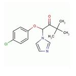 climbazole 99%