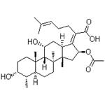 Fusidine,Fusidic acid