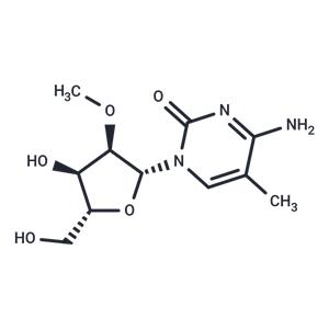 2’-O-Methyl-5-methylcytidine