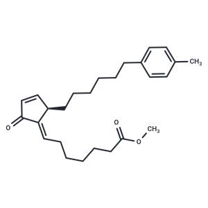 NEPP-11