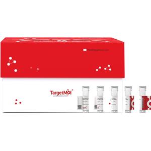 Cathepsin O Protein, Human, Recombinant (E. coli, His & Myc)