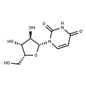 1-(b-D-Xylofuranosyl)uracil