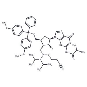 2'-F-2'-ara-N2-ibu-dG Phosphoramidite