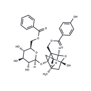 Benzoyloxypaeoniflorin