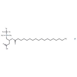 Octadecanoyl carnitine-d3 HCl