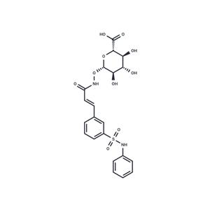 Belinostat Glucuronide