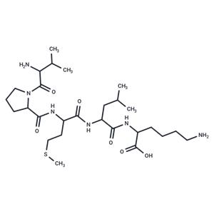 Bax inhibitor peptide V5