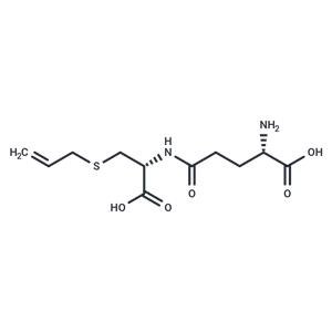 γ-Glutamyl-S-allylcysteine