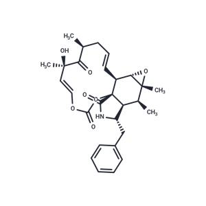 Cytochalasin E