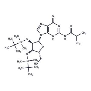 N2-iBu-2’,3’-bis-O-TBDMS ? guanosine