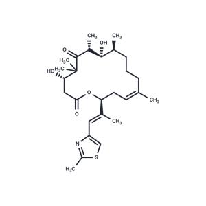 Epothilone D