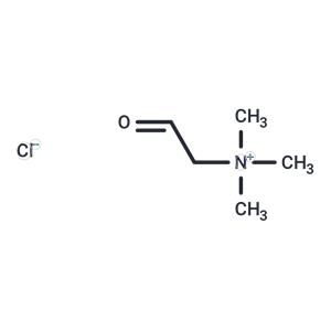 Betaine Aldehyde (chloride)