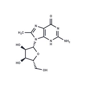 8-Methylguanosine