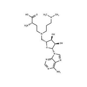 GSK-2807 free base