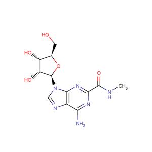 2-Methylamino ? carbonyl adenosine